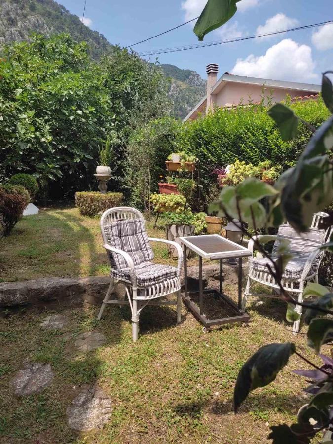 Apartman Art Kotor Eksteriør bilde